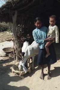 Banke (Muktinagar) # 05